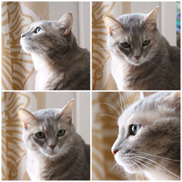 4fbc9ada a8d6 4641 bbe4 c6c2332c0287 1703479590519