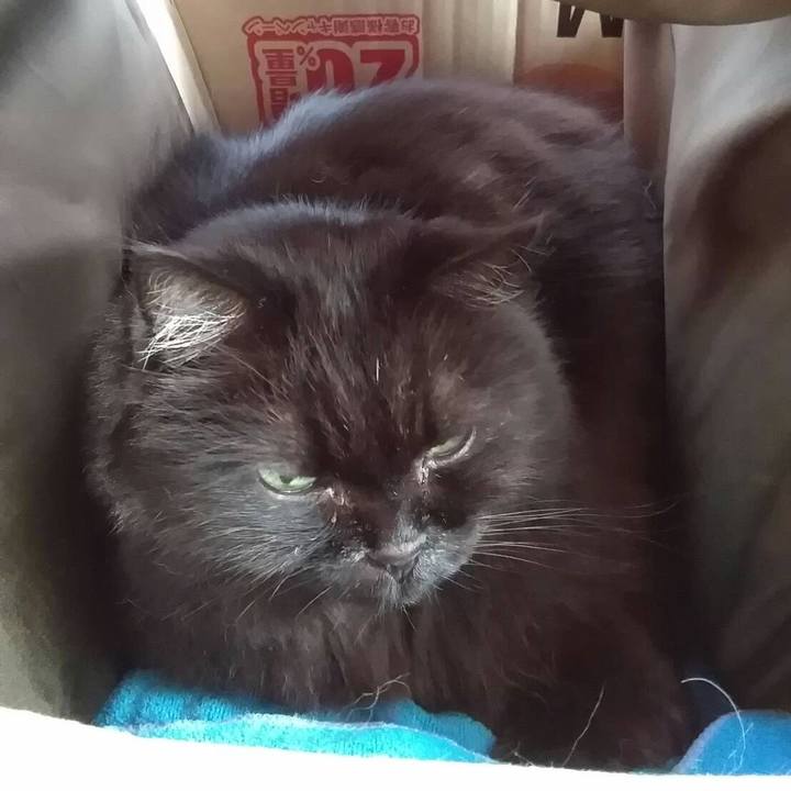 4fbd4276 5a7d 4bb7 8423 0db6ff288c11 1540515472005