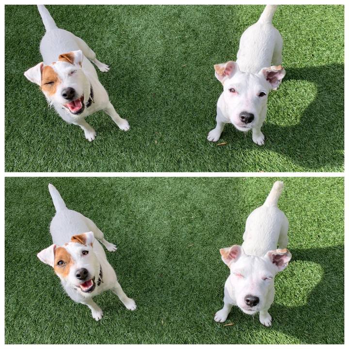 4fbd9c46 e24c 4e8a 9c2b a2f84e2b09e4 1544387057940