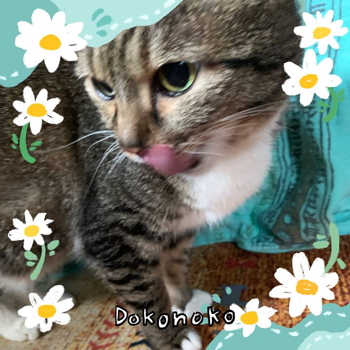 4fbde01f 6c66 4aa6 bb67 a5b108adc883 1712481178287