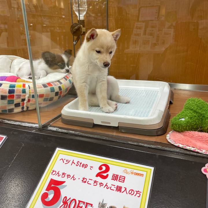 4fbedba1 a9a4 4359 be78 2f90e7c5bf4d 1652705095051