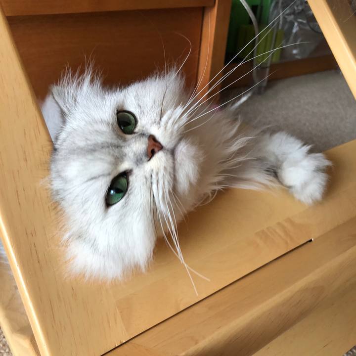 4fbf128b cde0 428b 8915 bdae4e55edf0 1538980966662