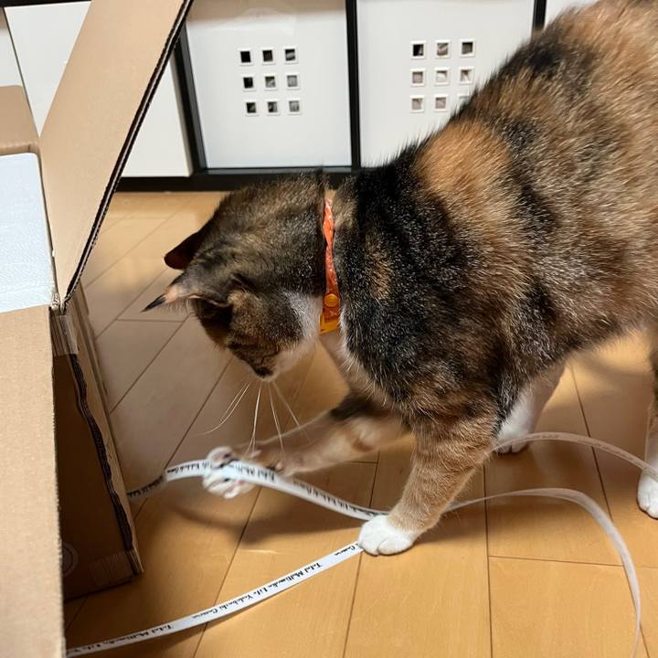 4fbf170a c2a1 4791 9ddc 81d0712709bb 1684154802489