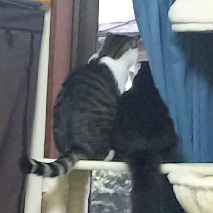 4fbf31c8 4fea 4959 9d51 2bdea5b26017 1647380068189