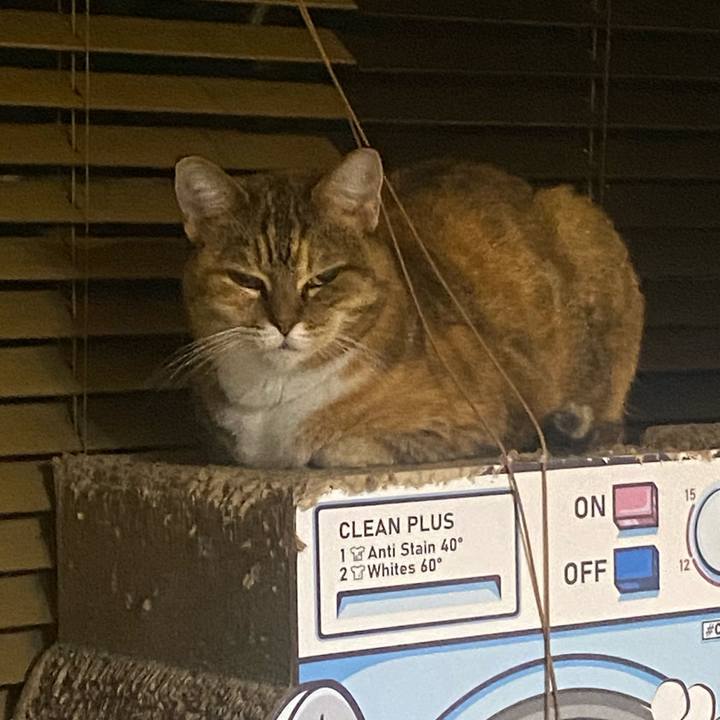 4fbf3f5f 821c 4001 b459 78d4b884a208 1728656620052