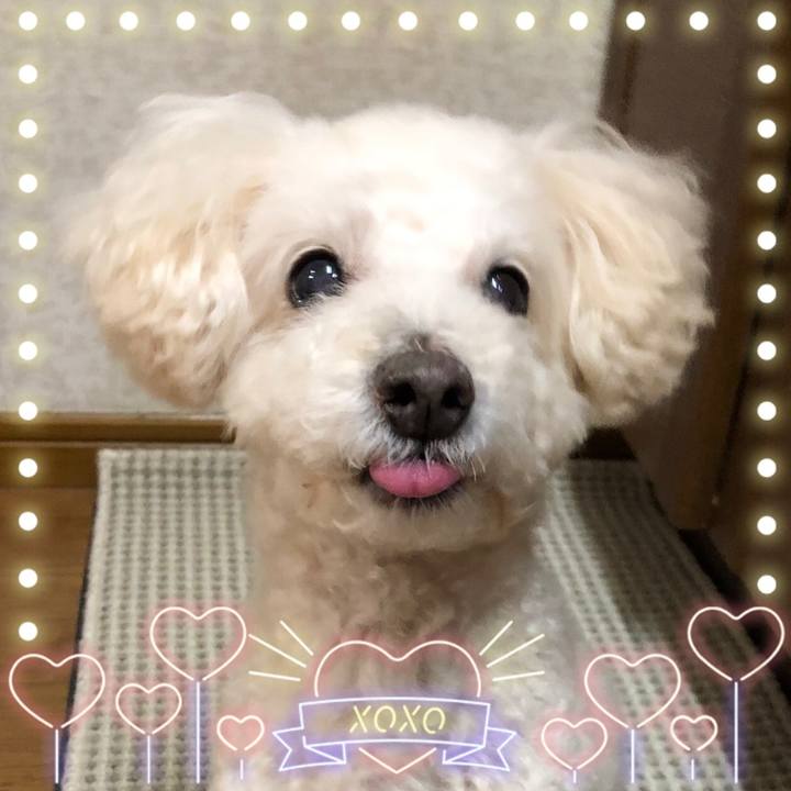 4fbf69ba 9660 4284 a35f e4ea820554b7 1547768370387