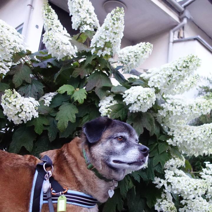 4fbf6e8b 8481 4932 9346 2d9b92cc1efb 1527253753856