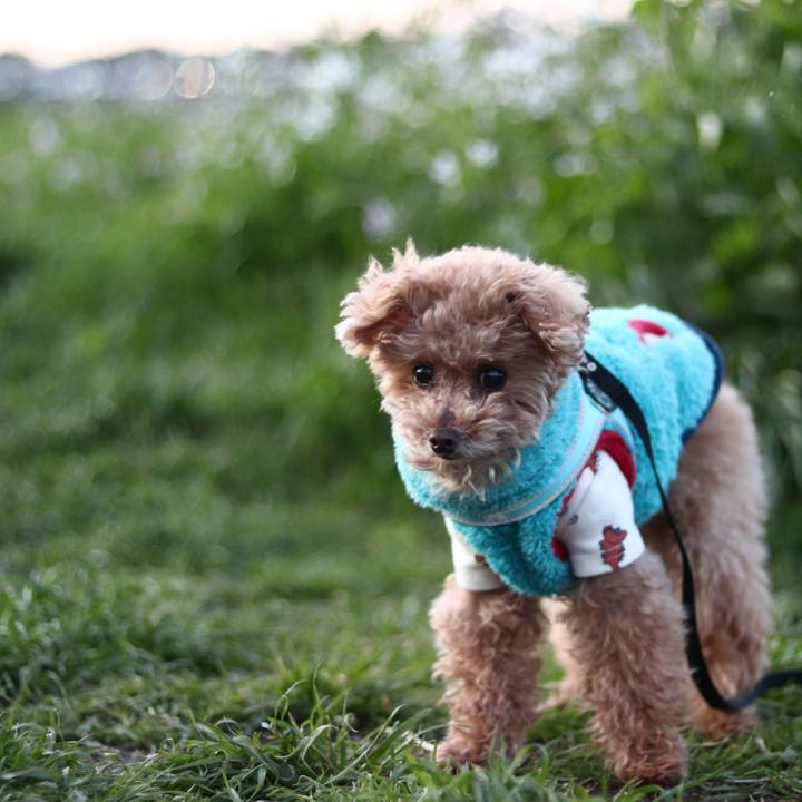 4fbf97ba d07e 42c9 b240 946eb150fc1c 1665148987276