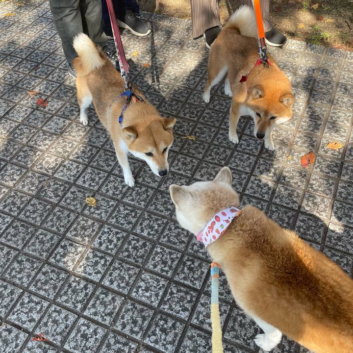 4fbfbd9e d746 4c5f 92a4 4c68b84d6ba5 1668121180634