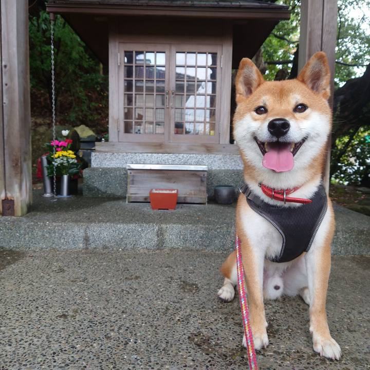 4fc013d4 d0f5 4302 8b17 667be3537910 1759575535056