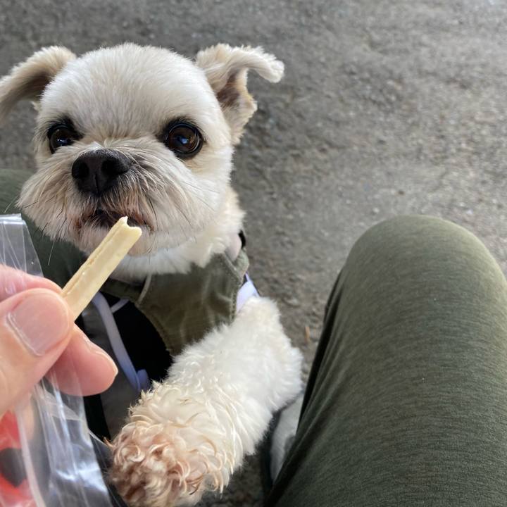 4fc0217a 6ae3 4f0d ae62 35dd3e143abd 1654122753936