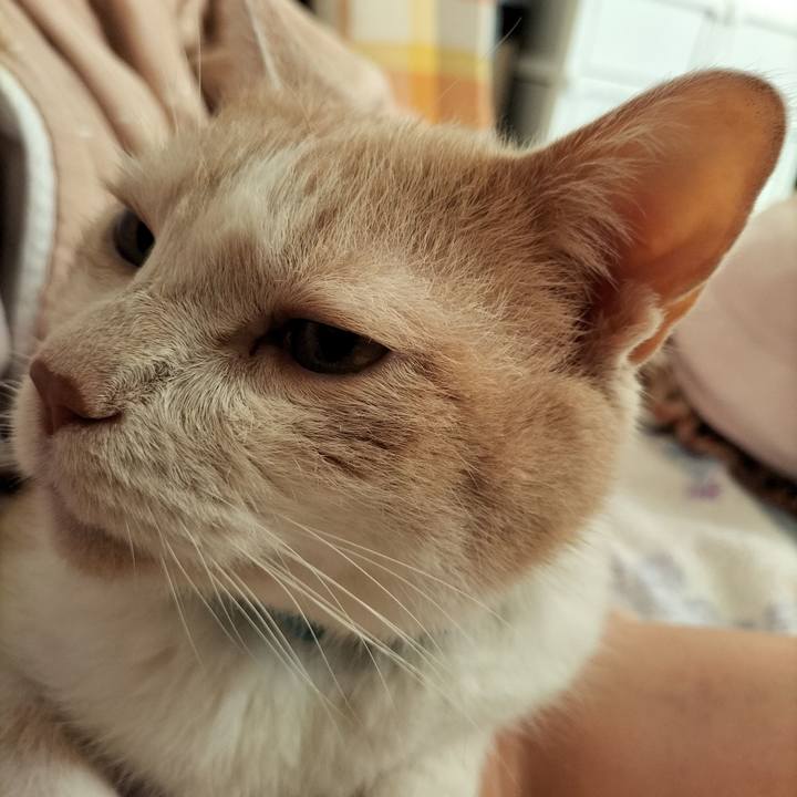 4fc02f1f ee8b 47d6 8cbc afa67e1220e8 1664145758742