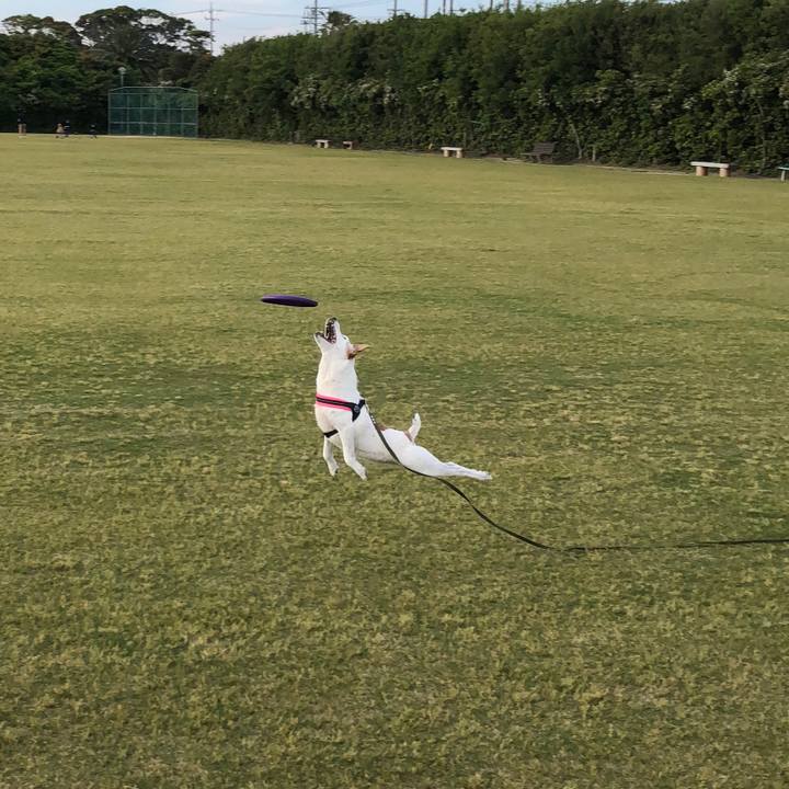 4fc03365 a915 40b7 a77d 030d30b3b158 1526116979681