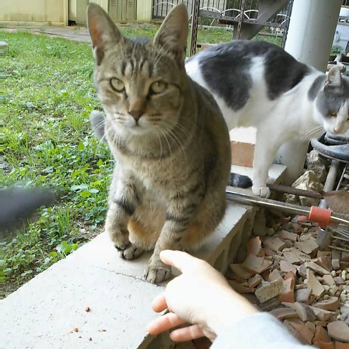 4fc06472 099a 4d06 99ec 0d349862cd9f 1541657292945