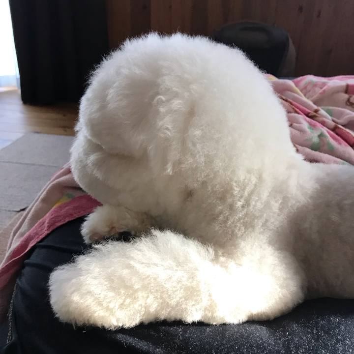 4fc087f9 0bd1 40fd ab5d 1e5065bd4118 1580540028040