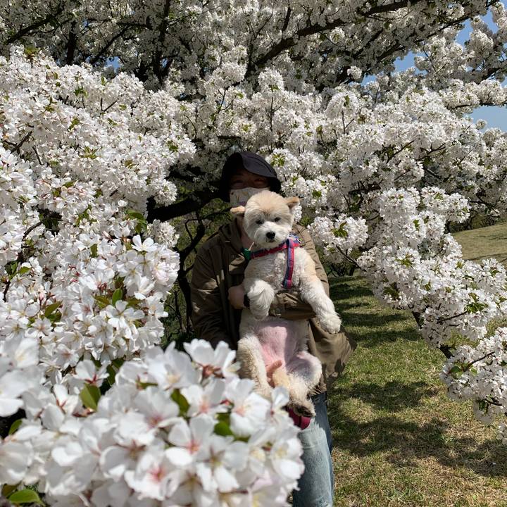 4fc08a41 936f 4a27 8ed6 98883b3993b2 1649596086502