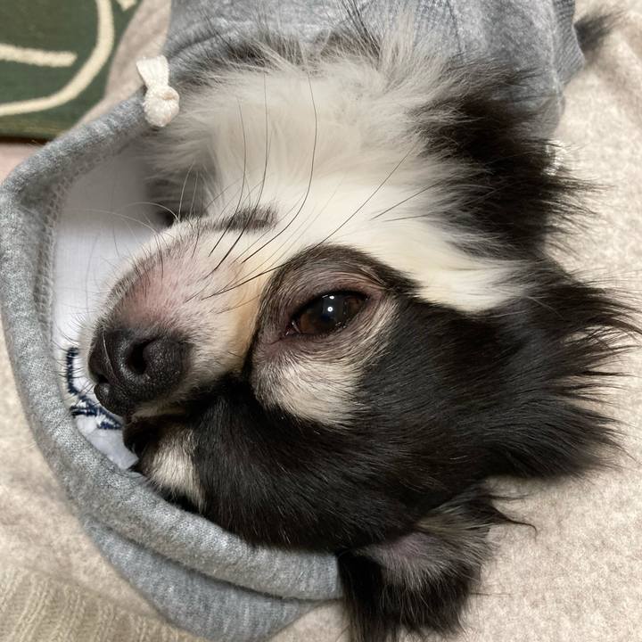 4fc09b6e c916 4c65 86a1 d2771385b5bd 1642862498384