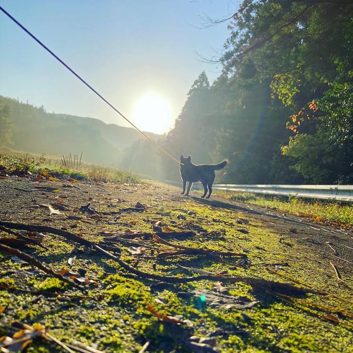 4fc0a989 c482 4ff6 a9af 84def0440139 1635982224734