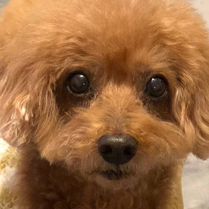 4fc0c4a2 a67f 4317 8158 2975787407c6 1541798189949