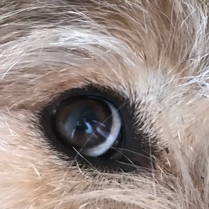 4fc0cb42 fa3e 4073 8fb9 ed9d3f8aaeae 1573607625145