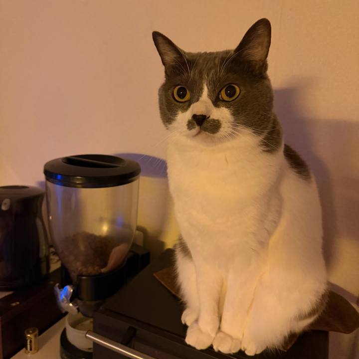 4fc0dcd0 7af6 450e b8fa 238b74ce70c9 1762738766426