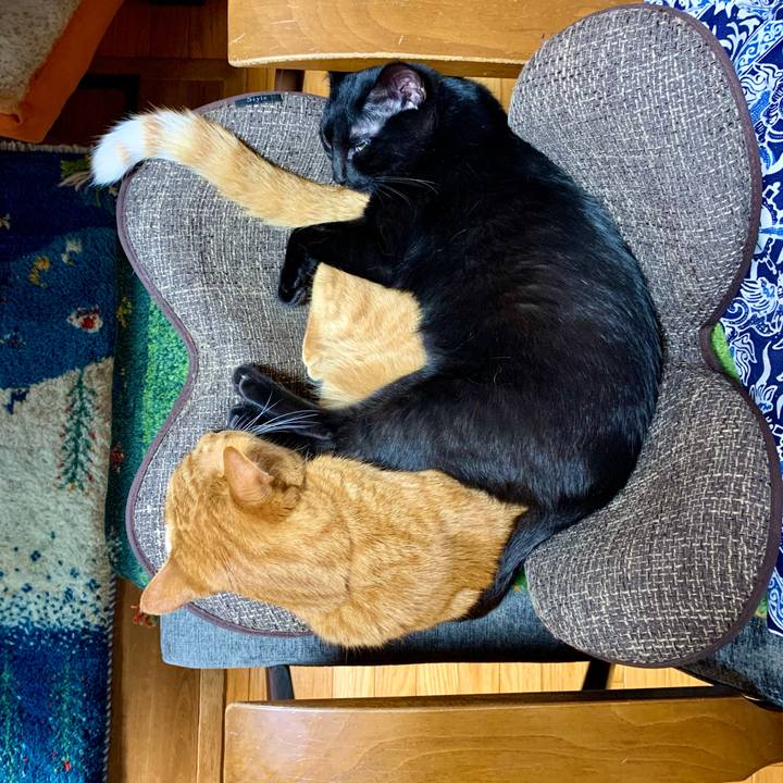 4fc103b5 995f 4be4 8c94 c71b95420ef1 1654073152030