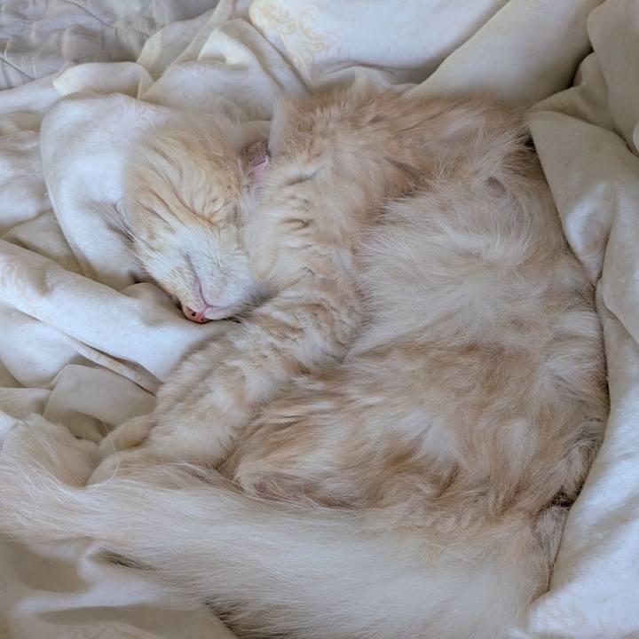 4fc104eb 9515 4d3c bc33 5c542ca1bb44 1728777889884