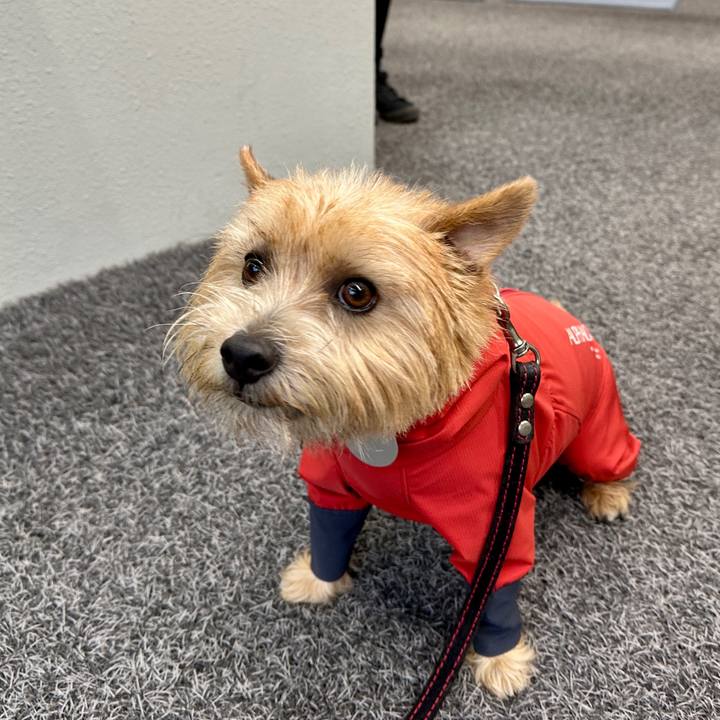 4fc11e51 a71d 4569 bd70 b2303711625e 1761411359417