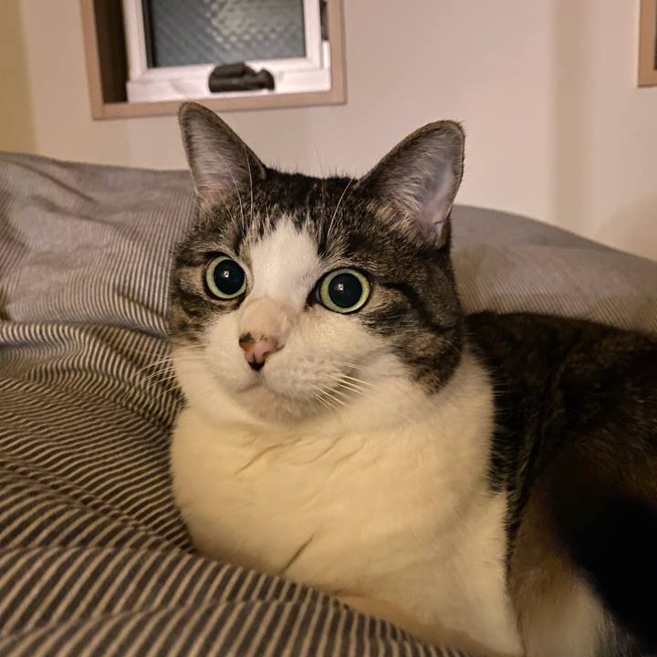 4fc152ce 9e69 4bed 9f26 6c2140cff84c 1671720096721