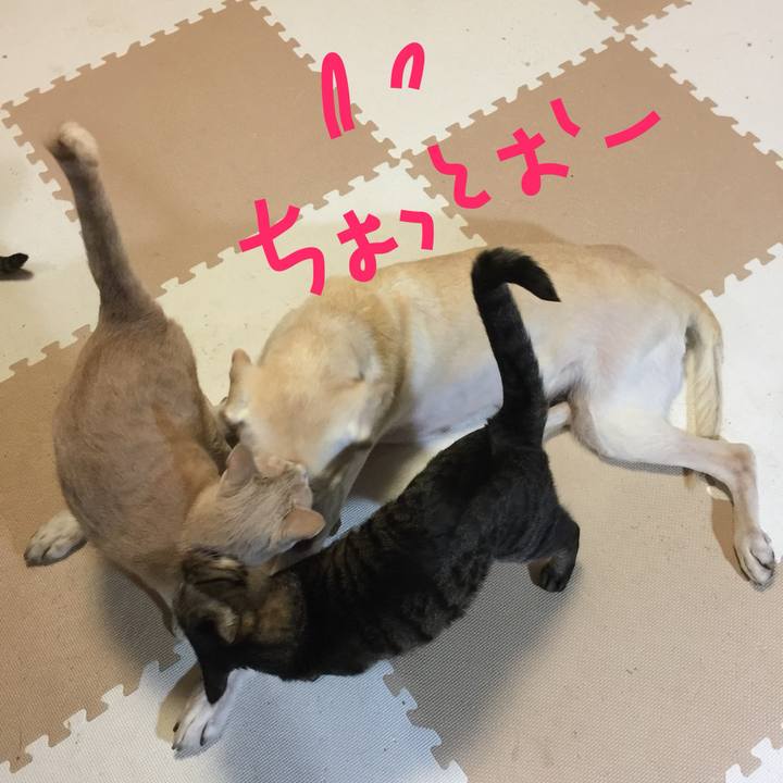 4fc181c6 bf16 4658 8159 b5708a7b25f4 1701763292592