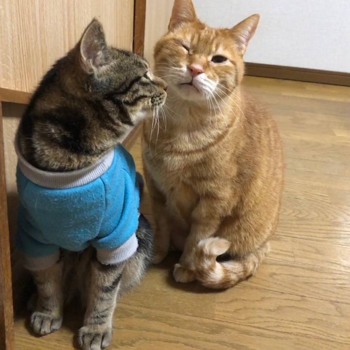 4fc189c1 ea7d 4024 8528 4c9d36f6b0b3 1740225786851