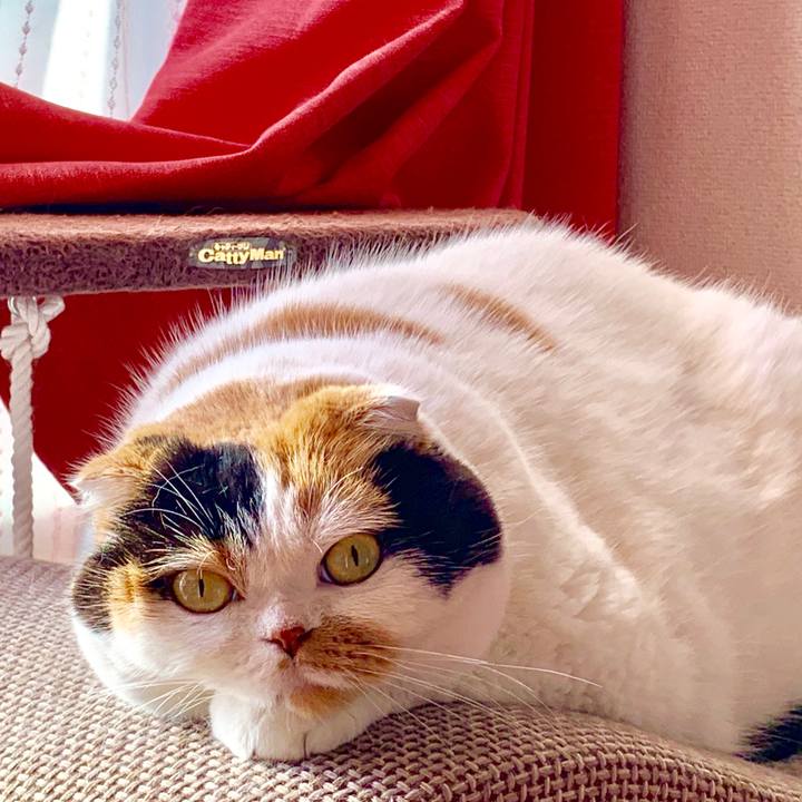 4fc19d8a 6d04 41af 8b6c d0db965103e0 1569882396075