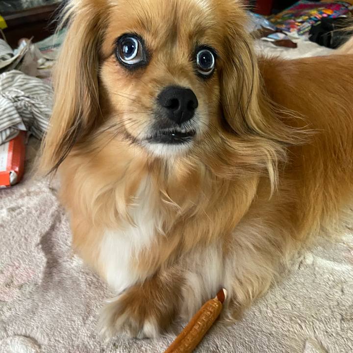 4fc1a0a3 2ec5 48d7 b034 edf403fd28bb 1591220374803