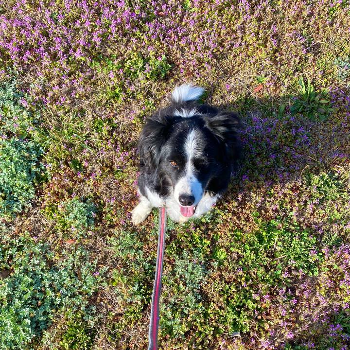 4fc1c207 8f19 4c4e b893 5f2e05c1b54f 1647389013041