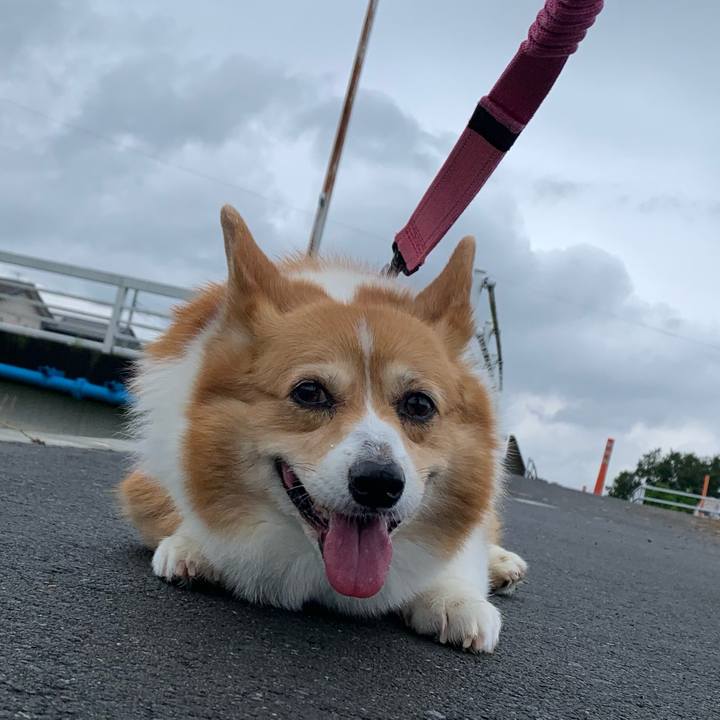 4fc1d91f 5eee 442c 96ba 5808aec6b21c 1686721054948