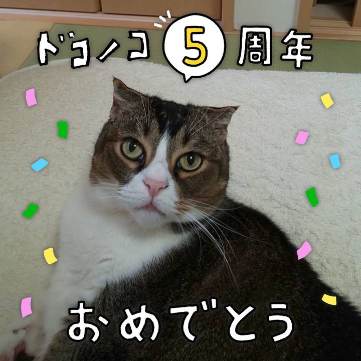 4fc1ddcd 3f75 409c bb43 9765eff244fe 1622857992067