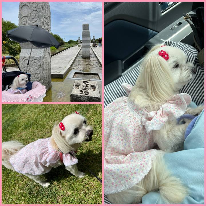 4fc21631 78b1 4110 89ec 22f5d66ac6d6 1685256783471