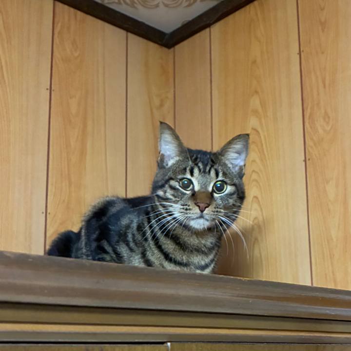 4fc2453e 2632 43dc b92d 0593077714ec 1767177264512