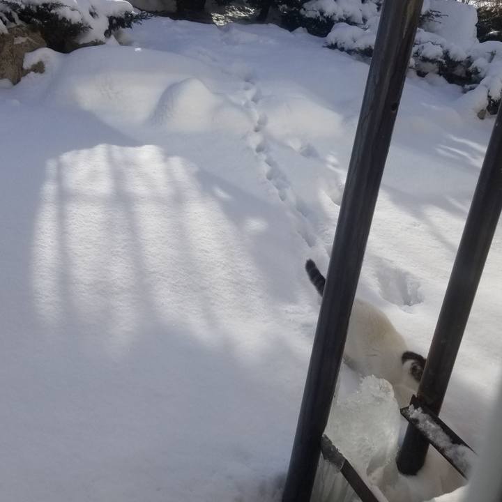 4fc2896c 9349 4539 a2aa c8b525b20827 1671358974602