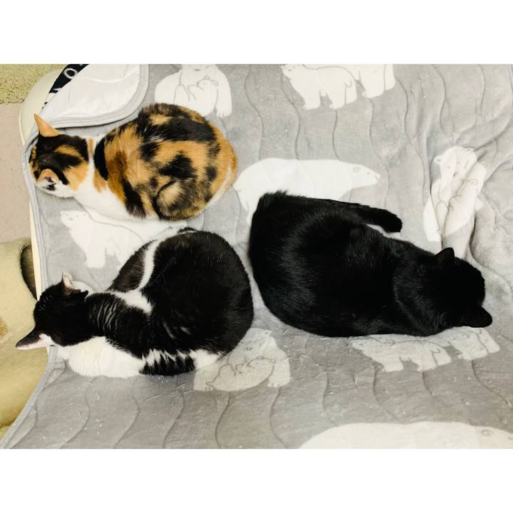 4fc2c588 d6f7 4102 b298 54aba00694a6 1607567327329