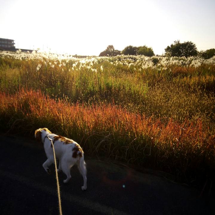 4fc2c718 6608 4dd1 9d11 65115f59633c 1510576658567