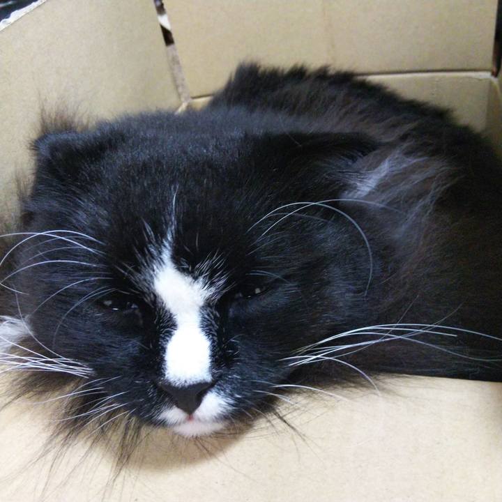 4fc2dd73 faf9 4e5e bc45 a05c04903398 1658891244186