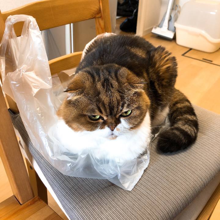 4fc2dfb8 eae2 4629 a36e 7756797baa9b 1549964154672