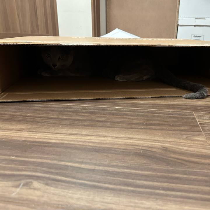 4fc30f92 02fe 4ad9 856c 62f89aaca973 1737361015746