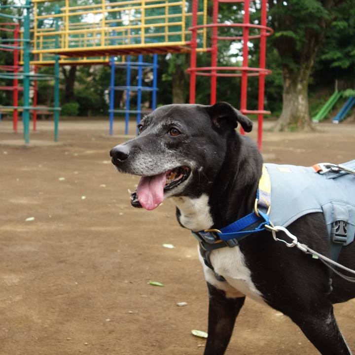 4fc31237 623b 46ee bd72 37cd2da34790 1747875353501