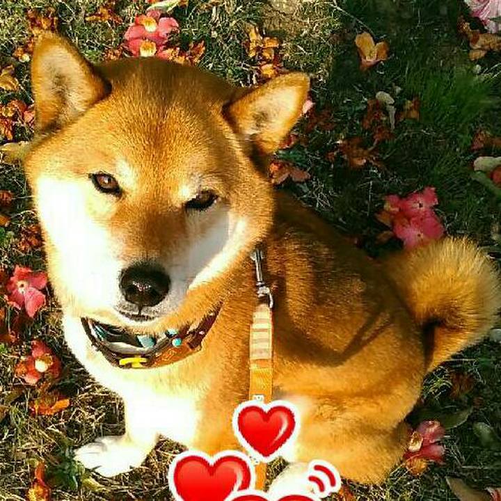 4fc33a55 6ffa 4eaa bc16 d6e3875a9a08 1552810851566