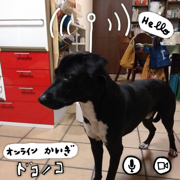 4fc37611 bdb9 4d26 8197 48c3b314cc91 1590712761814