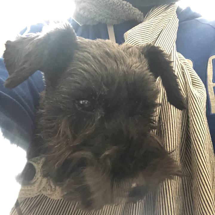 4fc37f7a 3bd1 4983 a913 e20da52325bd 1581302179845