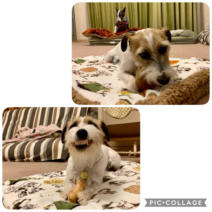 4fc3d5ba 433f 4f8b 85b8 6e2834ed469d 1609147918038