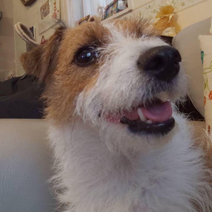 4fc47cc7 cade 428c 8f58 dadefc7e5e39 1568851205089